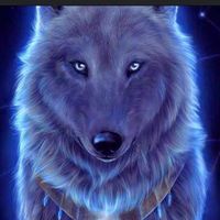 Saleh Hussain's Photo