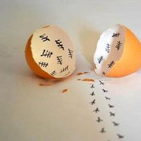 Фотографии пользователя Moreau Emilie