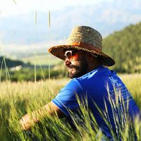 saeed  cham的照片