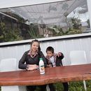 Wellington To Auckland 's picture