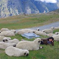 sachiko sakakibara的照片