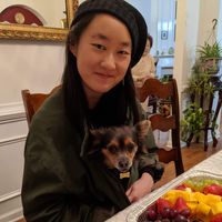 Fotos de Daphne Chen