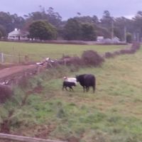 Zdjęcia użytkownika Lái kàn wǒman