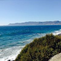 Howard Hermann's Photo