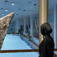 Jasmina Sharifjonova's Photo