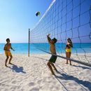 Beach VOLLEYBALL's picture