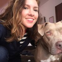 Pao Machado的照片