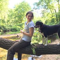 Fotos de Emilie Arnaud