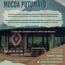 Cultural And Medicinal Retreat In Amazonian Jungle's picture