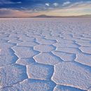 Salar D'Uyuni Trip's picture