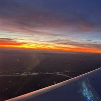 Mehdi Kamouche's Photo