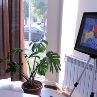 Armen Miqayelyan的照片