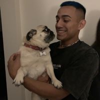 Felipe Gómez Flores的照片