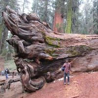 Le foto di George Azcarate