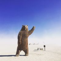 BAKI TOKGONUL's Photo