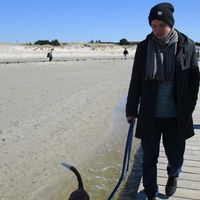 Marcel Westphal的照片