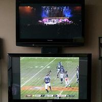 Nelsonbizarro的照片