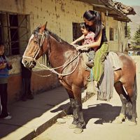 Danmar Chavez Krederdt的照片