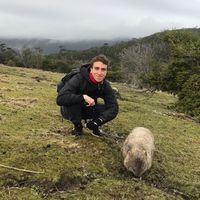 Arthur Guerin的照片