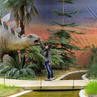 Marcela Pinto的照片