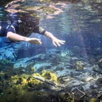 Richard Lima的照片