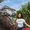 Carolina Mosquera Vera's Photo