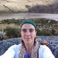 MarIsabel Logreira的照片