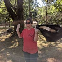 maryam piroozmehr's Photo