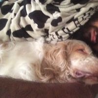 Manpreet Sahni的照片