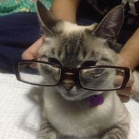 Ivan Velandia's Photo