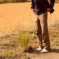 Abdul Basith's Photo