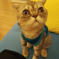 Ngân Thuận Nguyễn Lưu的照片