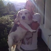 Le foto di Tómas Axelsson