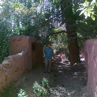 babak bagheri的照片