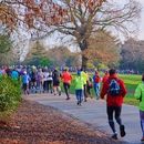 Free 5k Run/Walk's picture