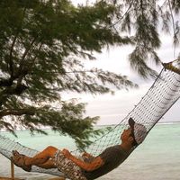 Fahrel Wiraz的照片