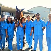 Fotos de Olympe Jeangeorge