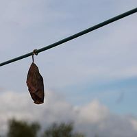 Fotos von Aurélie Moureau