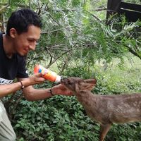 Photos de Andrés Tellería Rodríguez