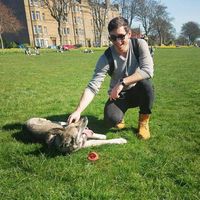 Фотографии пользователя Stoyan Stoyanov