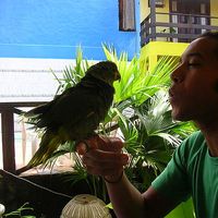 Thiago dos Reis Nascimento's Photo