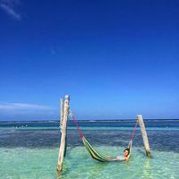 Yolanda Ibarra的照片