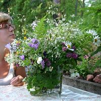 Sonja Mäkelä's Photo