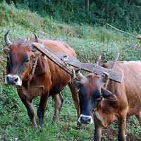 Kasper Joers's Photo