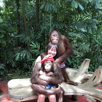 Yukiko Hoshino's Photo