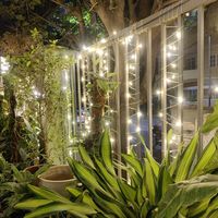 Binal Choubey's Photo