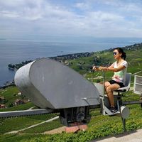 playoutside的照片