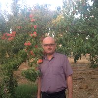 Soran Hama ALI's Photo