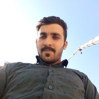 arash  karamian's Photo