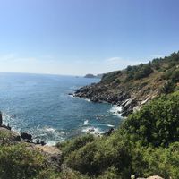 Pooyan Arasteh的照片